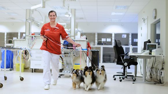 Vill du arbeta hos oss?