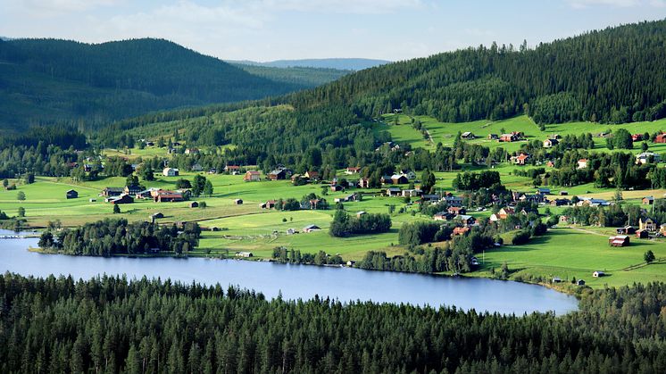Att gemensamt skapa och diskutera framtidsscenarier med ett landskapsperspektiv är en användbar och kreativ metod för att involvera representanter för många skogliga intressen, enligt Julia Carlsson. 