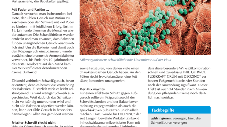 Ohne Zink stinkt’s: Wie ein Spurenelement für frische Füße sorgt