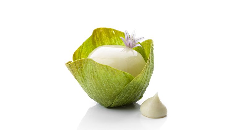Bocuse-d'Or_2018_Garnityr_SG_Artichoke