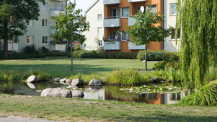 Ekostaden Augustenborg vill bli bäst på biologisk mångfald
