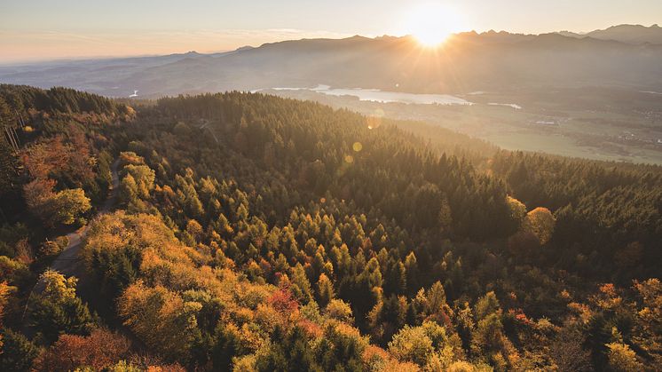 Fribourg / Le Gibloux: Panoramablick über die Region Fribourg 