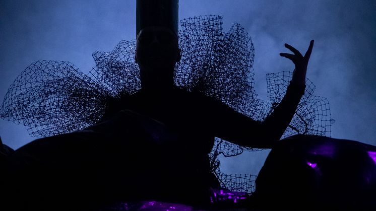 Pressbild Dragshow Robert Fux