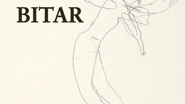 Omslag "Allt går i bitar"