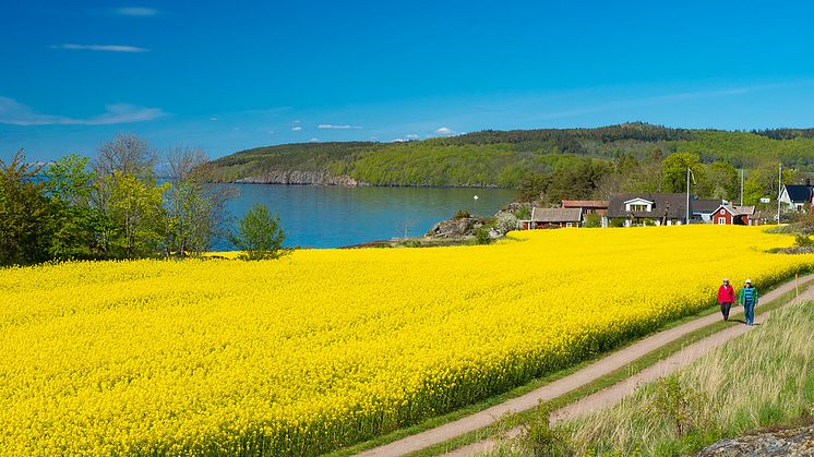 Östgötaleden