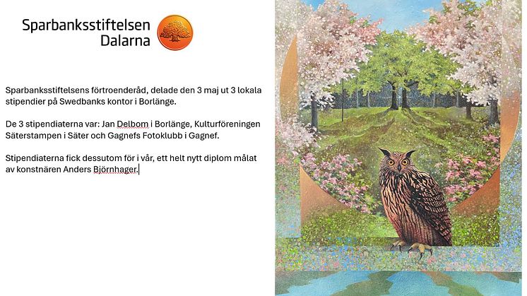 Jan Delbom, Gagefs Fotoklubb, Kulturföreningen Säterstampen, alla glada mottagare av Sparbanksstiftelsen stipendium