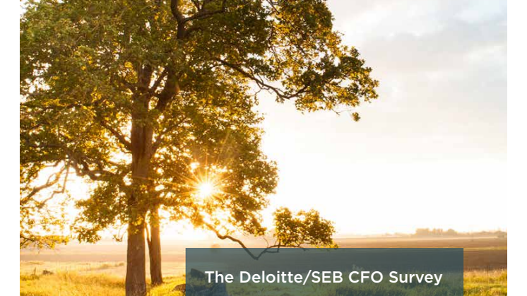 The Deloitte/SEB CFO Survey spring 2017