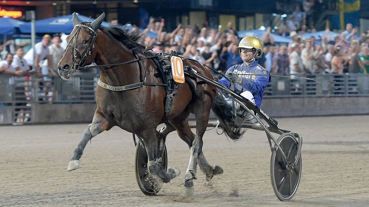 San Moteur vann ifjol Jubileumspokalen på världsrekordtiden 1.09,7 över medeldistans. Nu är han klar för Elitloppet 2023. Foto: TR Bild