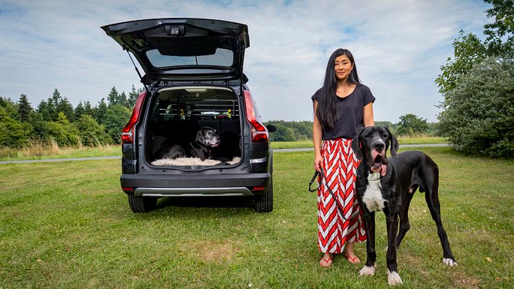 005 220815 Dacia Jogger og hunde