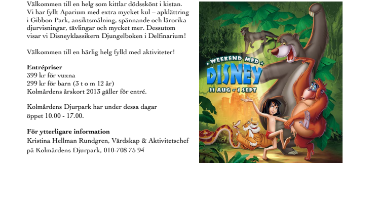 Evenemangstips - Disneyweekend med massor av kul!
