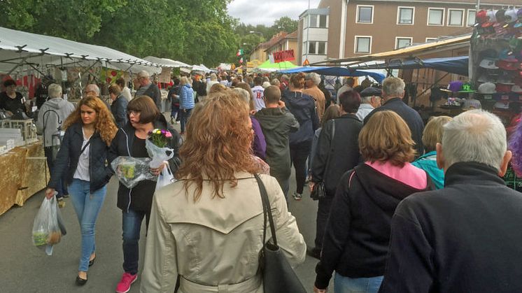 Lions Club Borensberg öppnar 90-konto – ”skapar samarbetsmöjligheter”