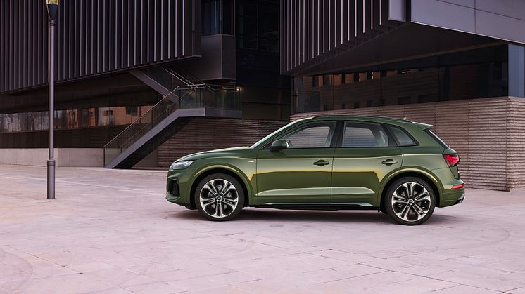 Audi Q5 2020 (Distriktgrøn)