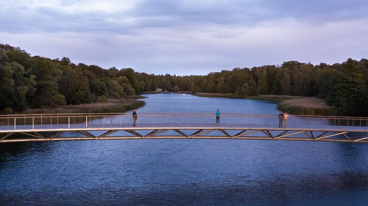 Lasse Olsson Photo-9872