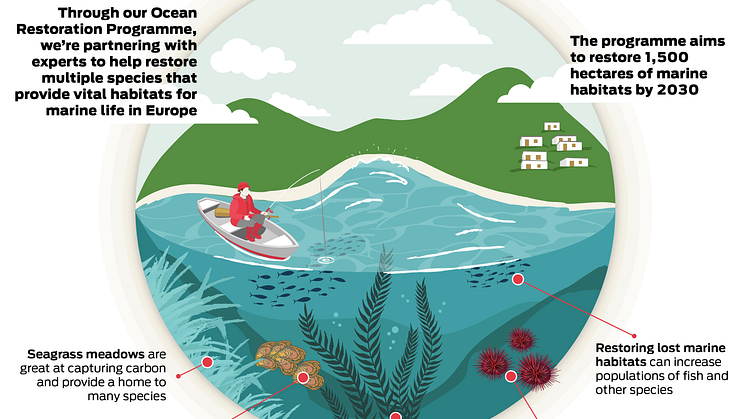 ocean-restoration_infographic