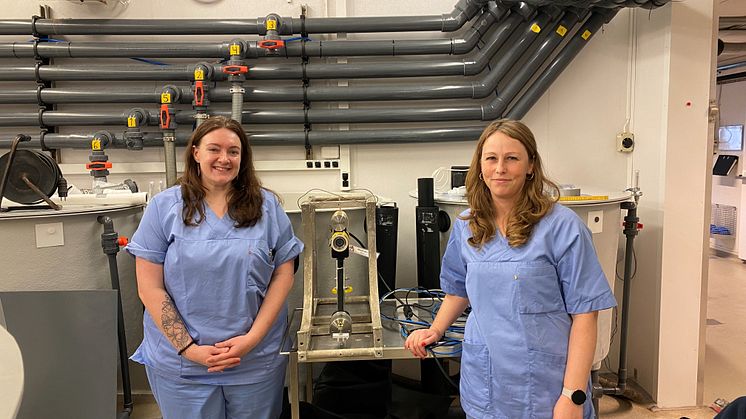 Ragnhild Pettersen (Akvaplan-niva) and Lise-Merete Vågø (VESO Aqualab). (Photo: VESO Aqualab).