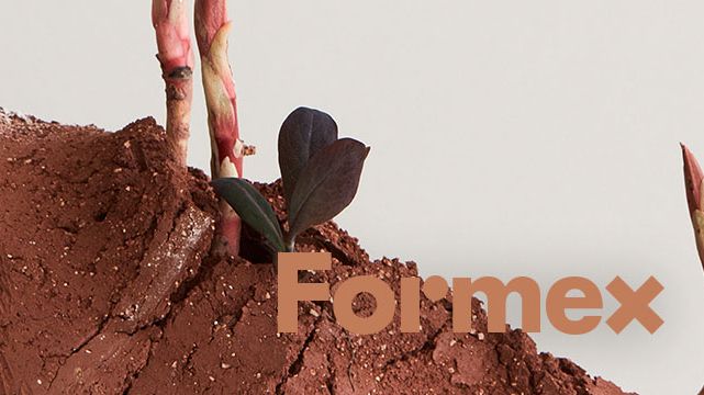 Summering av Formex – heminredningsbranschen blomstrar