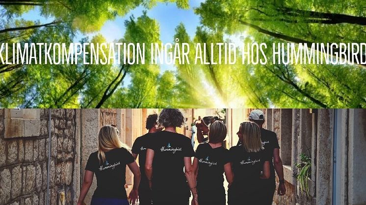 Hummingbird Meetings & Events inspirerar till en mer hållbar rese- och mötesbransch! 