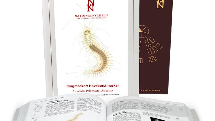 Nationalnyckeln-Havsborstmaskar-uppslag-omslag
