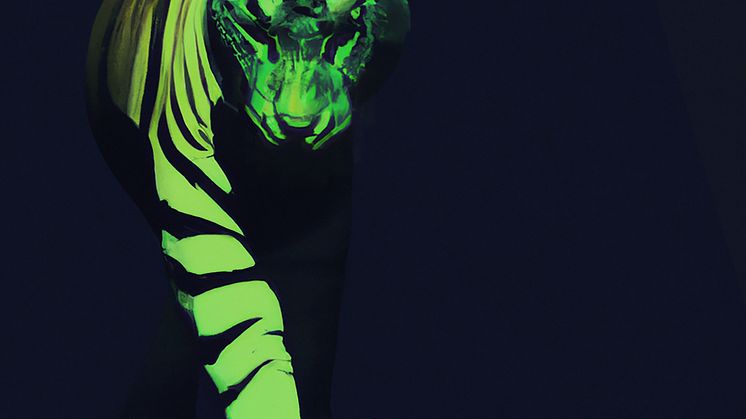 rs_tiger_SQUARE_final_JPEG