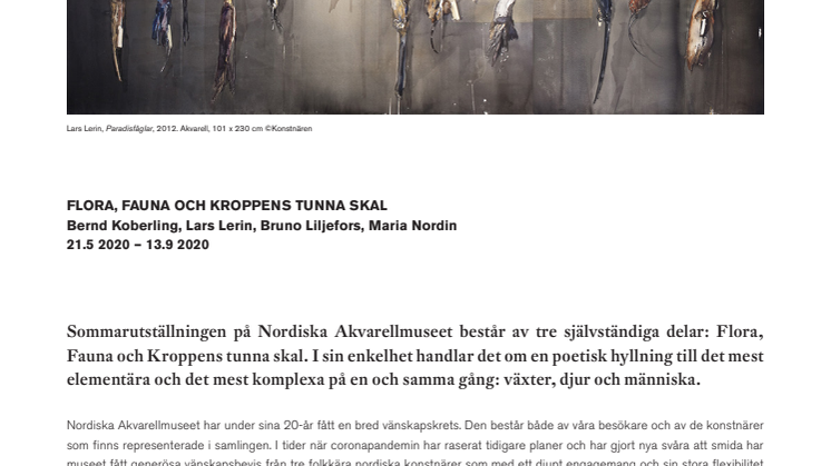 Sommarens utställning på Nordiska Akvarellmuseet: Flora, Fauna och Kroppens tunna skal 