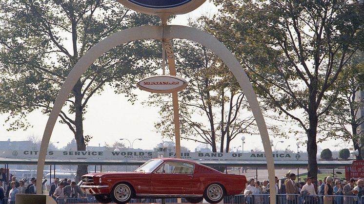 55 Mustang Birthday