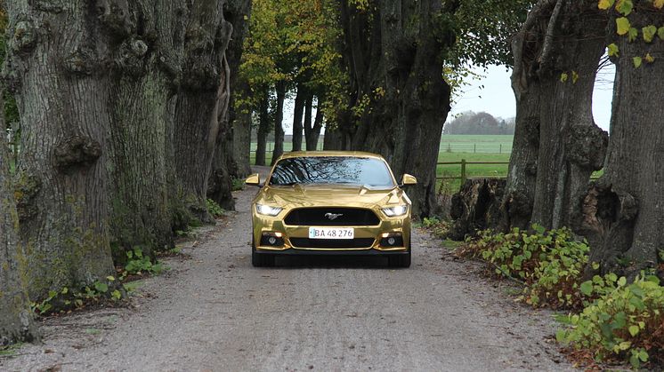 Ford overrasker guldbryllupspar