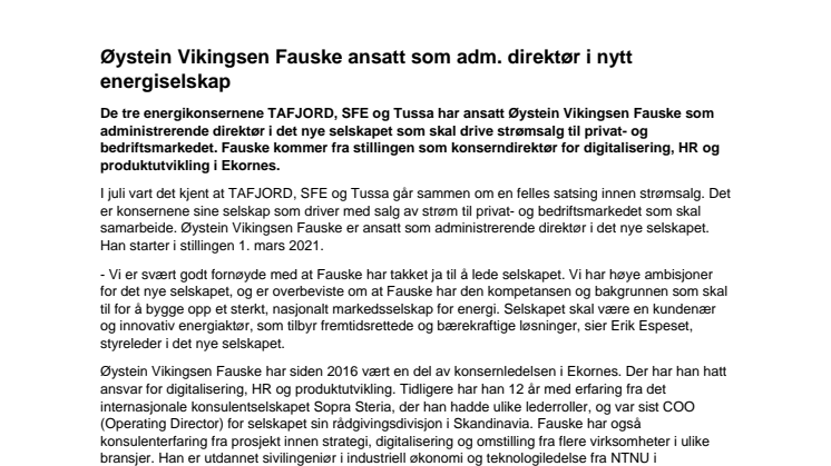 Øystein Vikingsen Fauske ansatt som adm. direktør i nytt energiselskap