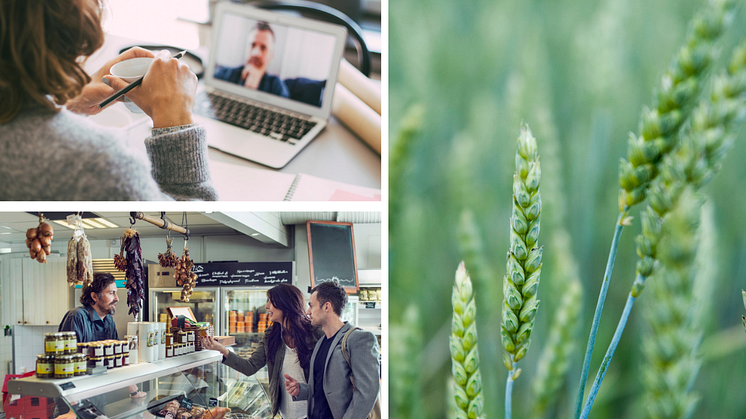 ​Minskat klimatavtryck och kompetensutveckling för en hållbar livsmedelssektor