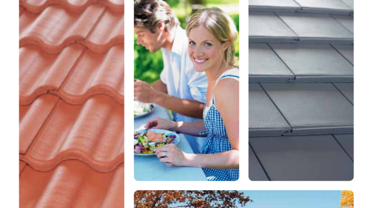 Produktkatalog 2013