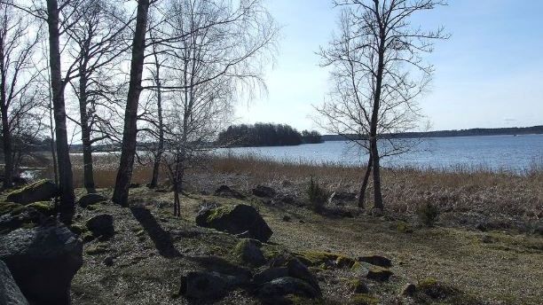 Sveriges största skogsfastighet blir din för 150 miljoner kronor