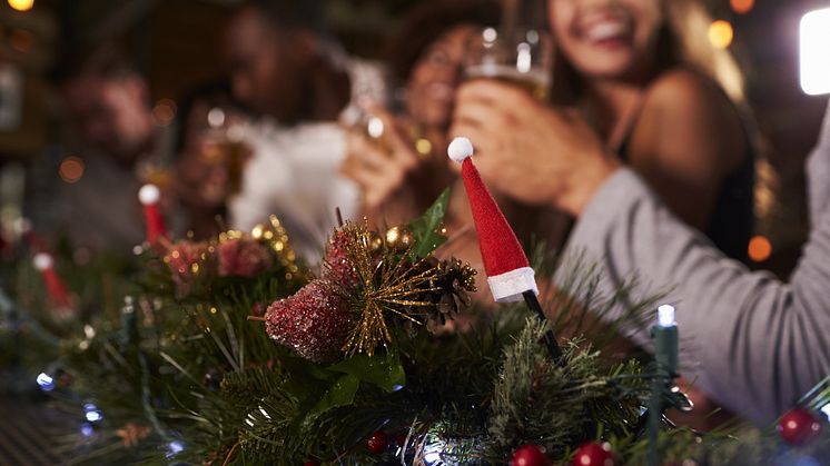 Det som skjer på julebordet blir ikke nødvendigvis på julebordet. Arbeidsgiver er i sin fulle rett til å ta tak i uønskede situasjoner fra julebordet i etterkant, sier Simployers rådgiver Hans Gjermund Gauslaa. FOTO: Dreamstime