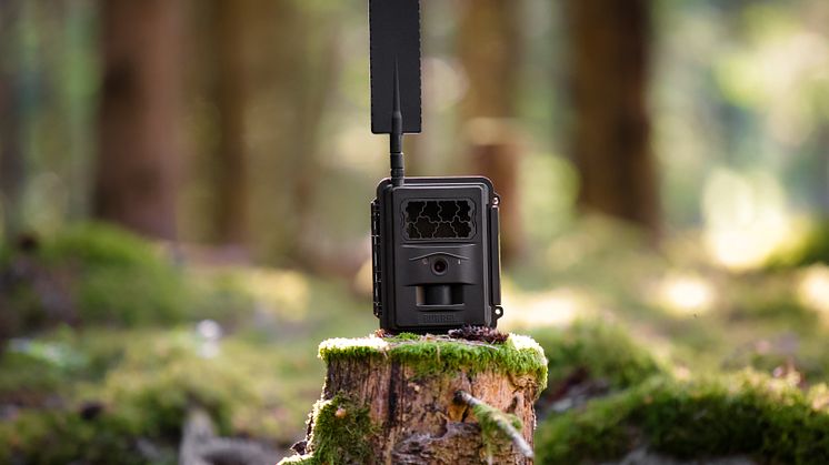 Burrel Trail Camera