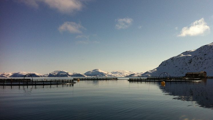 Et av Cermaqs anlegg i Finnmark.