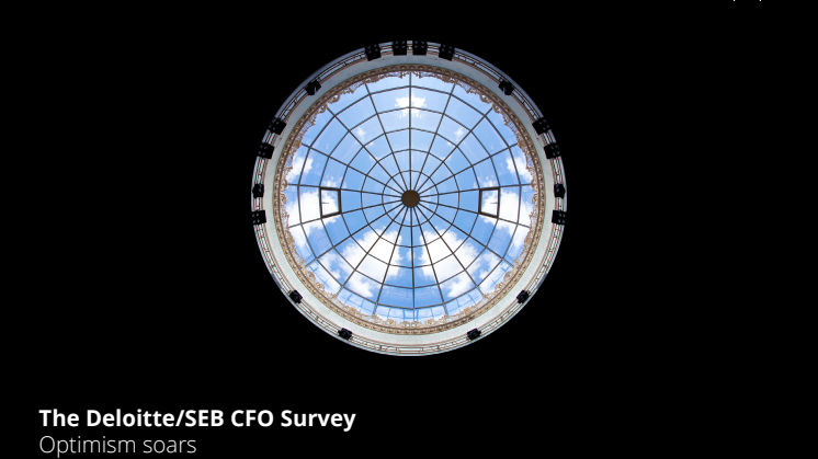 CFO Survey Fall 2017