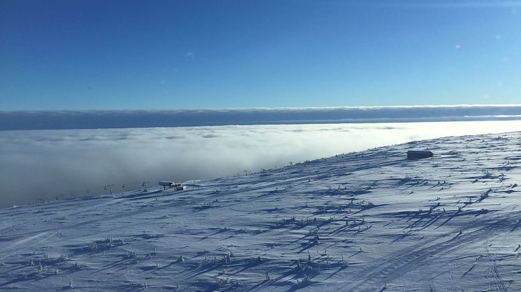 Sälen från ovan inversion