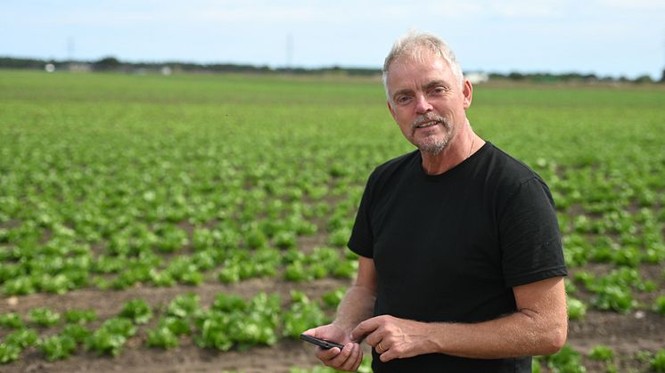 Åhus Grönt kopplar upp salladen med fiber