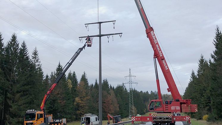 Rückbau Freileitung Tettau