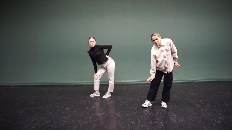 Lær deg trinnene! Flash Mob (De naive / Vigeland-museet 23.11.2019)