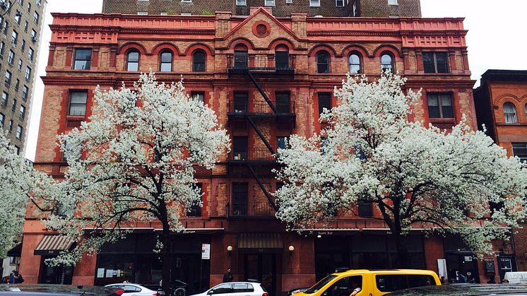 Skal du studere i New York? Så skal du måske være Bikuben Scholar