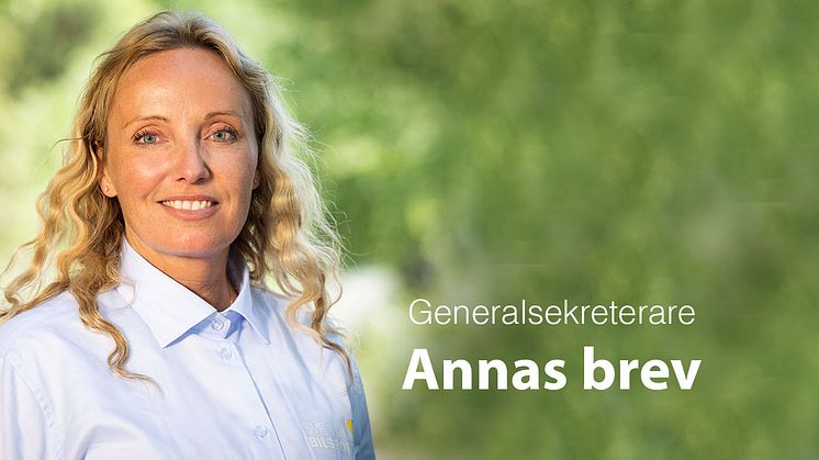 Anna sommar mynewsdesk1