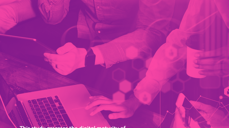Digital leaders in Sweden 2018