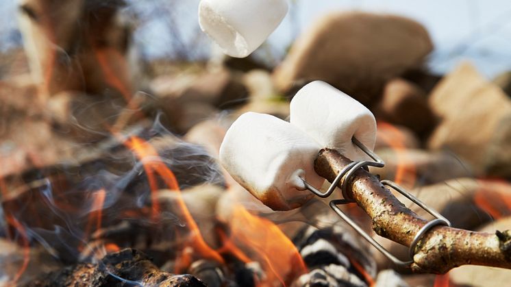 Grillgaffel till pinnen