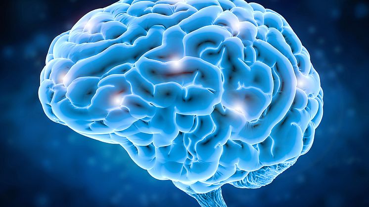 Forskare vid Linköpings universitet undersöker hur Parkinsons sjukdom kan spridas i hjärnan. Foto: iStock
