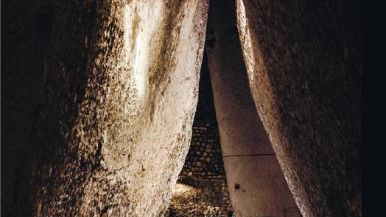 Cellars