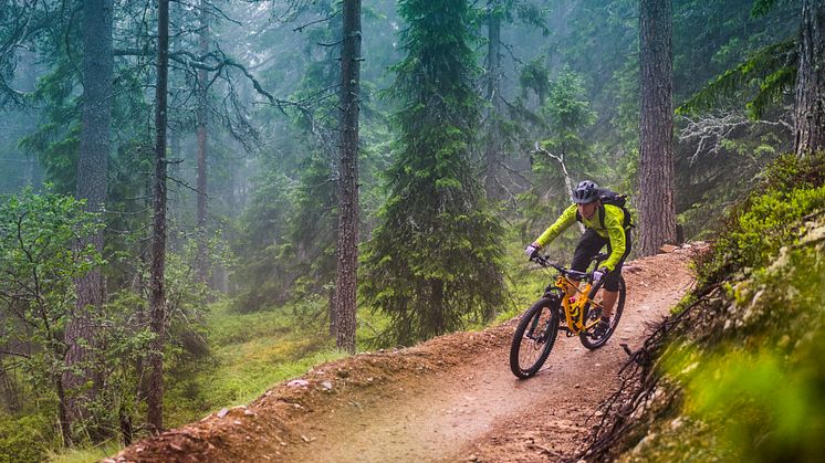 Fyra måsten för cykelfantasten – och resten av familjen
