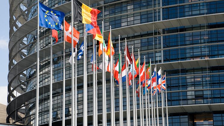 Europarliament. Flags of the countries of the European Union at an input in Europarliament