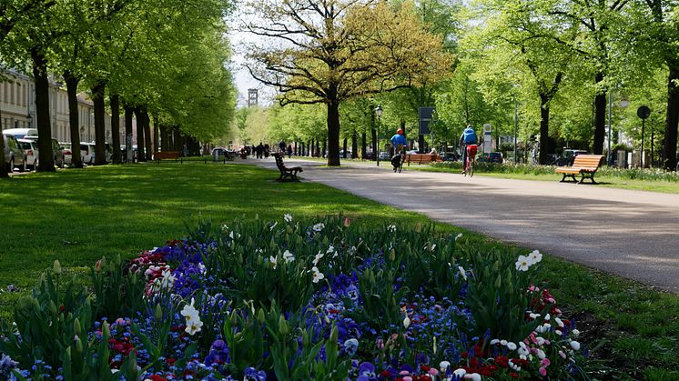 Exploring the city center by bike