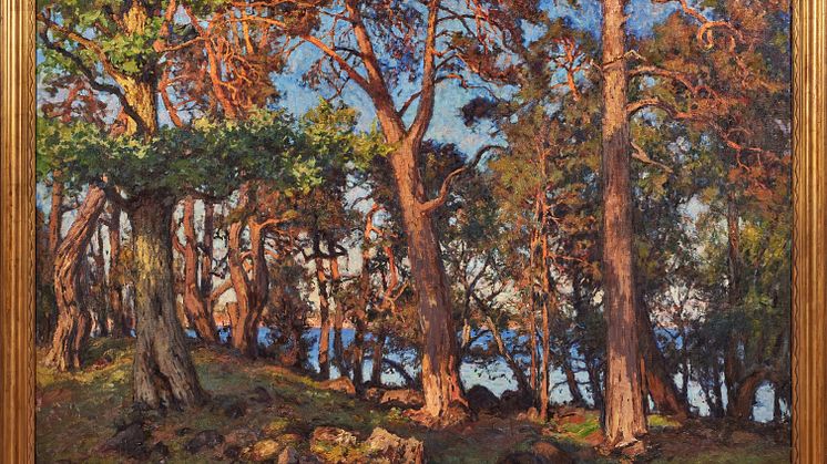 "Sommarafton på en skärgårdsö", Gottfrid Kallstenius