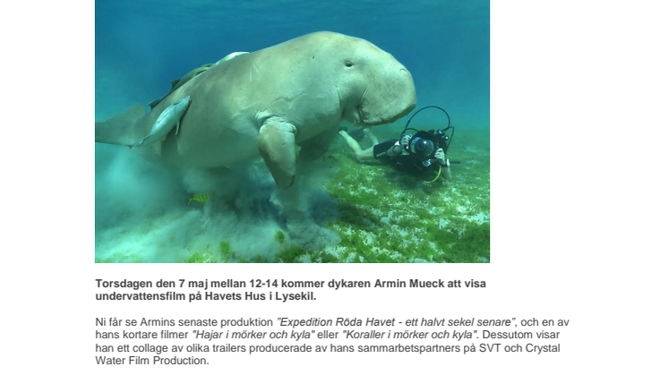 Naturfilmarna, de sista äventyrarna?