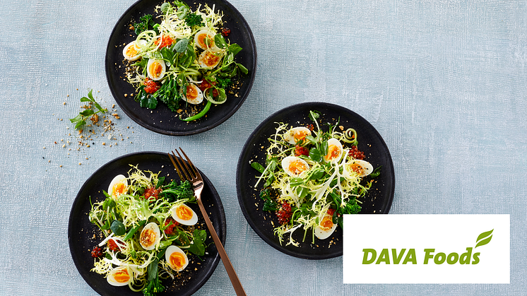 Danish Agro bliver eneejer af DAVA Foods